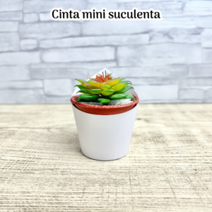 Molde cinta mini suculenta