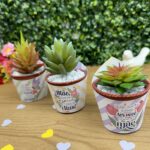 Cinta mini suculenta dia das Mães 2024