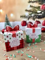 Coleção Natal Noel 2025 - Imagem 33