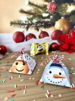 Coleção Natal Noel 2025 - Imagem 19