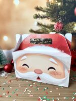 Coleção Natal Noel 2025 - Imagem 12